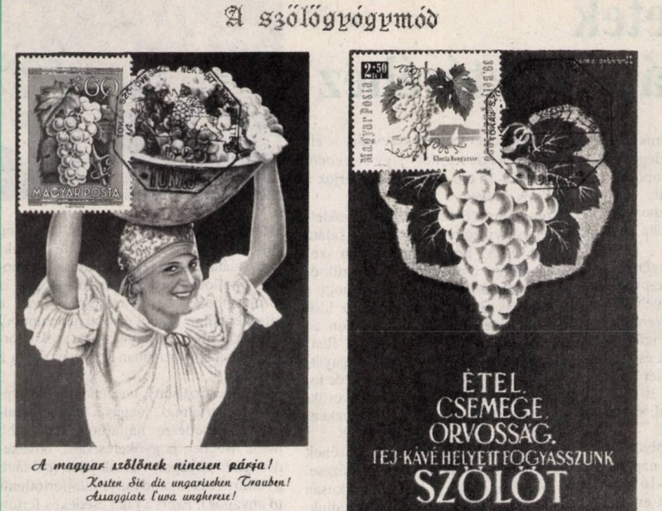 szőlőgyógymódot népszerűsítő kiadvány