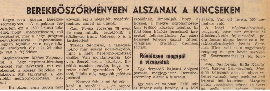 Berekböszörmény 1955 Néplap