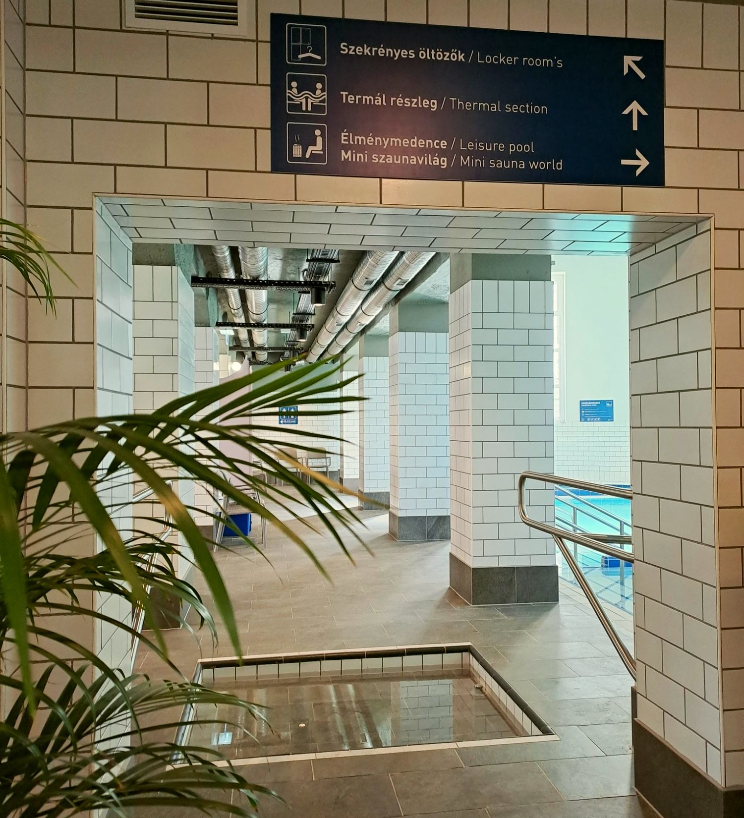 Dandár fürdő Ferencváros