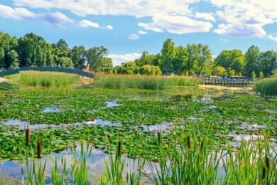 Bármilyen csábító is a vize, ebben a hazai termáltóban nem fürödhetünk